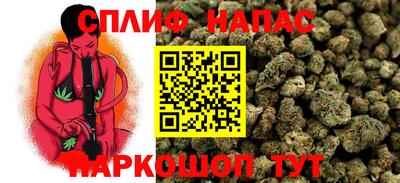 дмт Донской