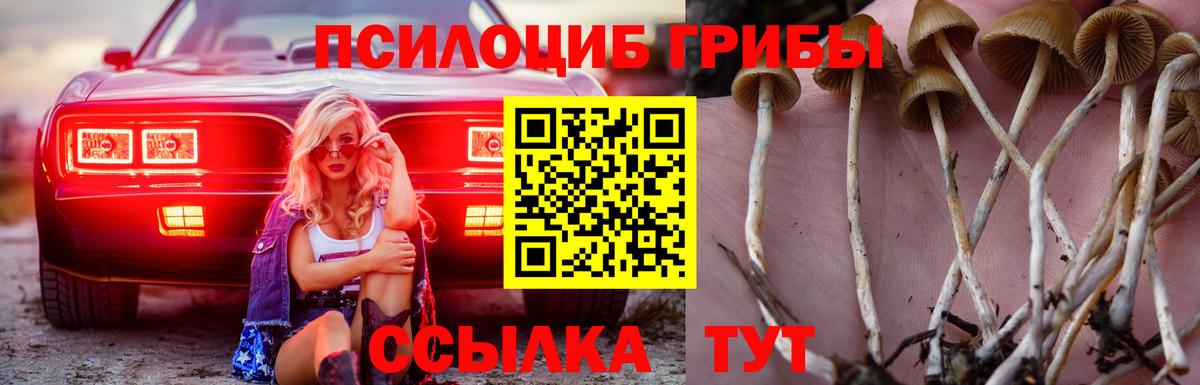 Псилоцибиновые грибы мицелий  Галлюциногенные грибы MAGIC MUSHROOMS  Вход с VPN  Лесосибирск 
